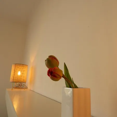 Vernieuwd Zeezicht Luxe * Bergen aan Zee