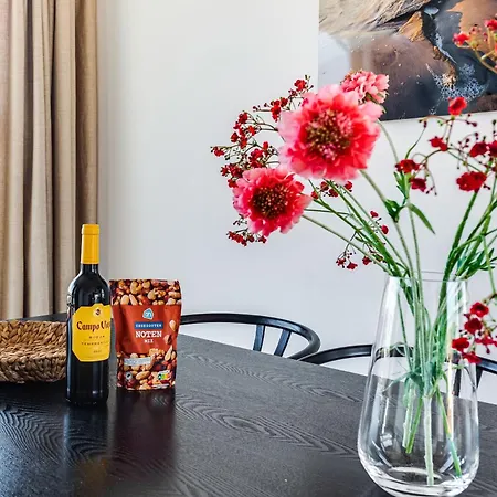 Vernieuwd Zeezicht Luxe Bergen aan Zee