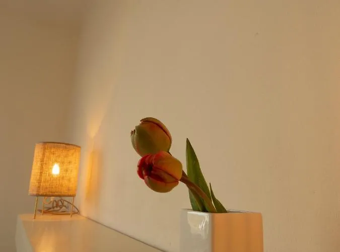 Vernieuwd Zeezicht Luxe * 버겐안지